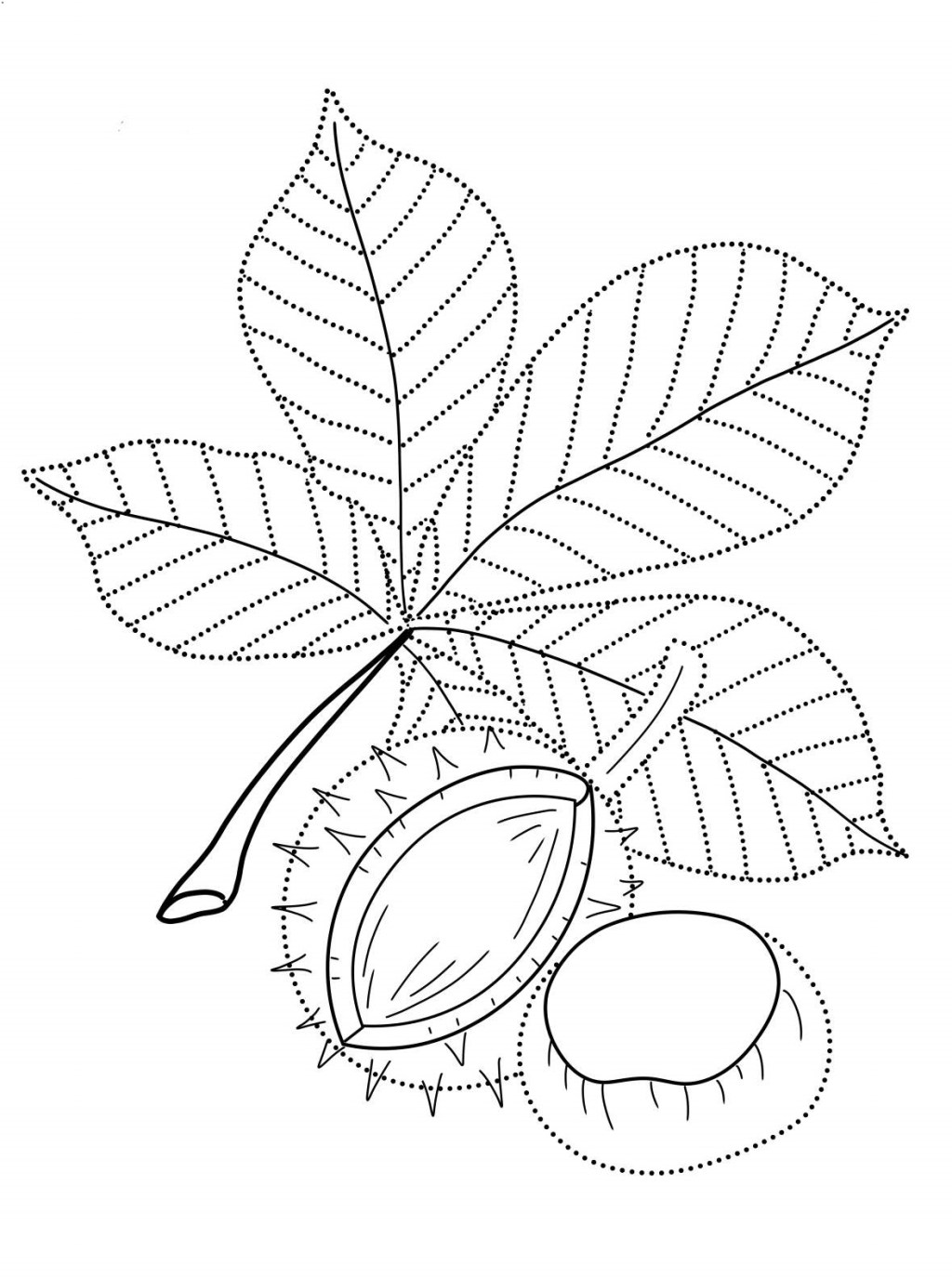 Kasztan – arkusz pracy dla ucznia ze spektrum&nbsp;autyzmu