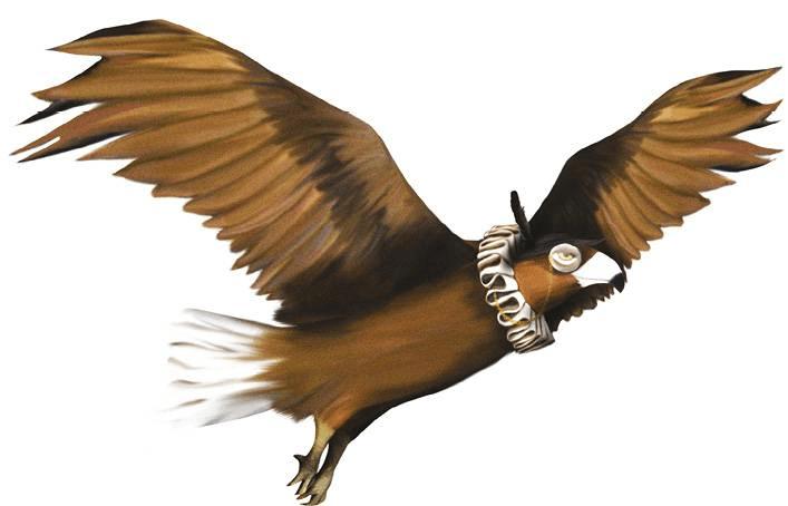 Orzeł, który nie chciał latać… Bajki wzmacniające poczucie własnej&nbsp;wartości