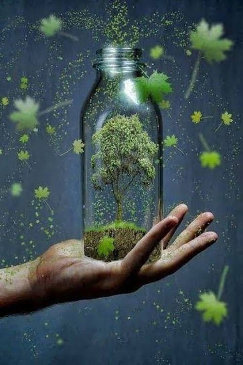 Potrafię to zrobić – lekcja biblioterapeutyczna – poczucie własnej&nbsp;wartości