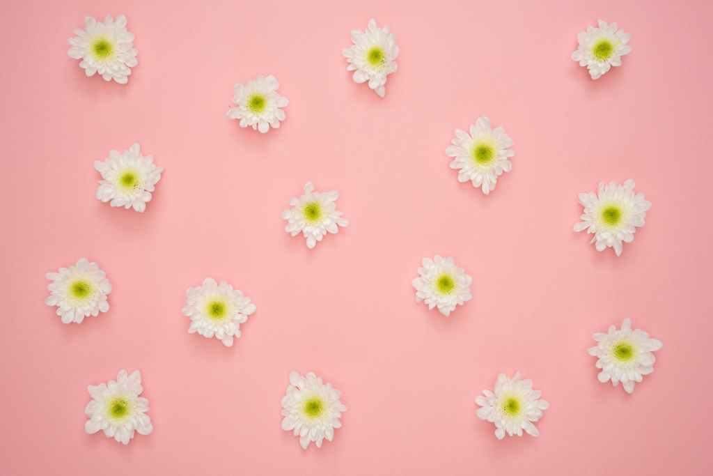 Co proponuje rytmika?