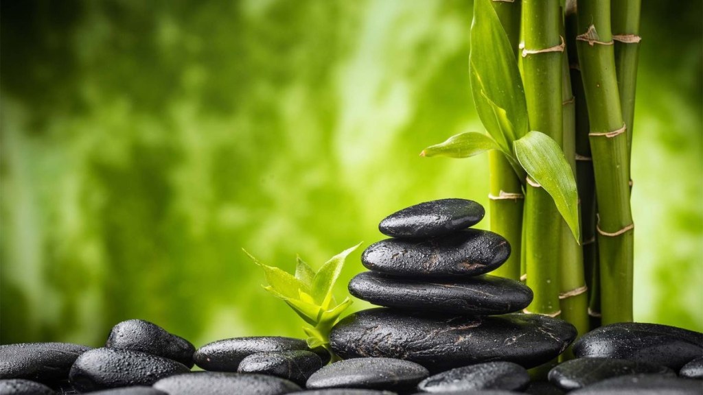 Odpoczynek umysłu. Odkryj spokój  Metodą Silvy w świecie technik&nbsp;relaksacyjnych