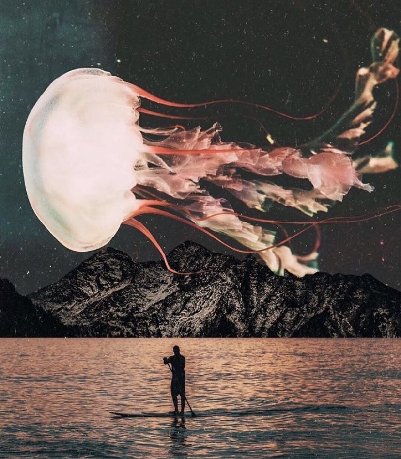 Efekt torowania. Mechanizm manipulacji&nbsp;myśli