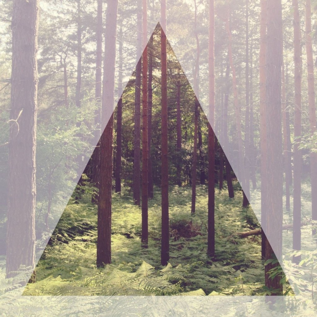 Smart Sensing w harmonii z naturą: Technologia wspiera twoje spacery i&nbsp;relaks