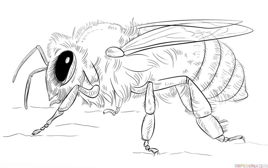 Pszczoły – Nasi pracowici przyjaciele: Zajęcia edukacyjno-terapeutyczne dla uczniów ze spektrum&nbsp;autyzmu